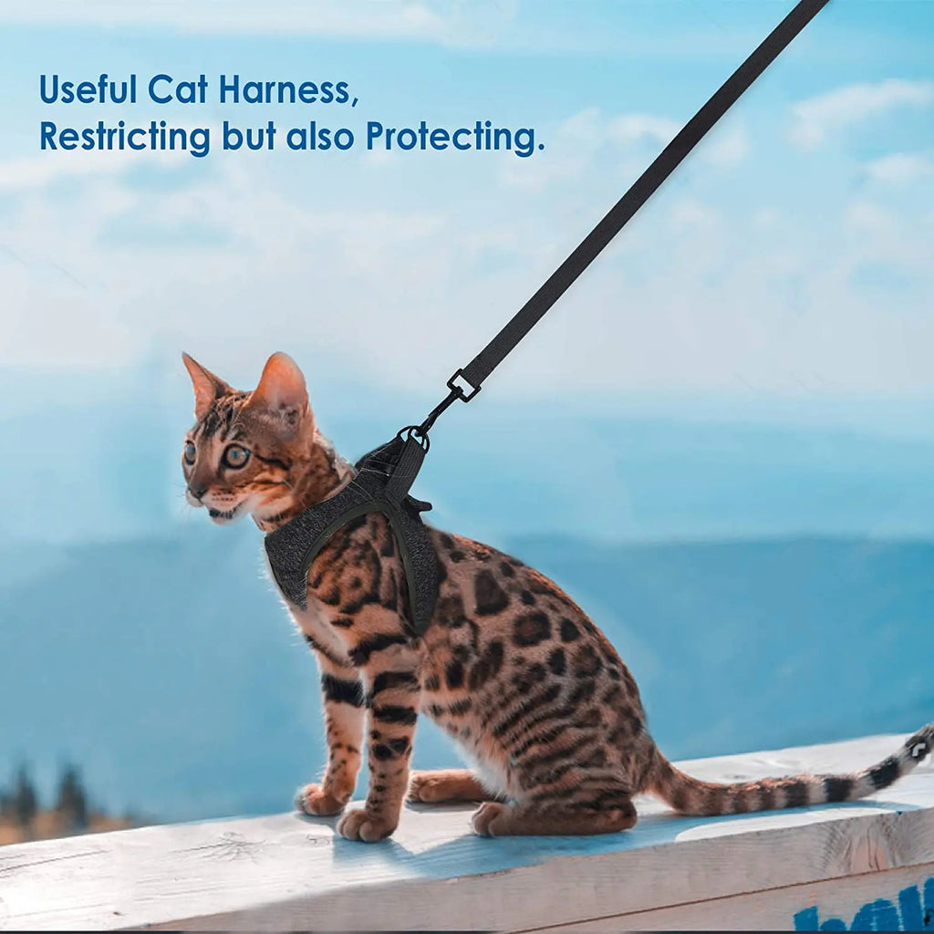 Pretal chaleco para gatos con correa de 1,2 m