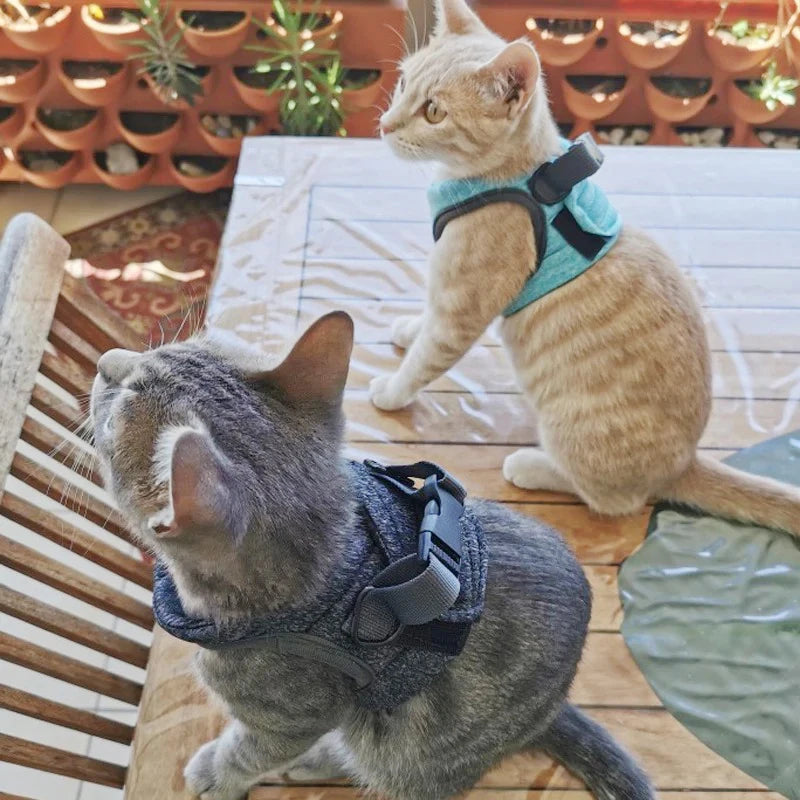 Pretal chaleco para gatos con correa de 1,2 m