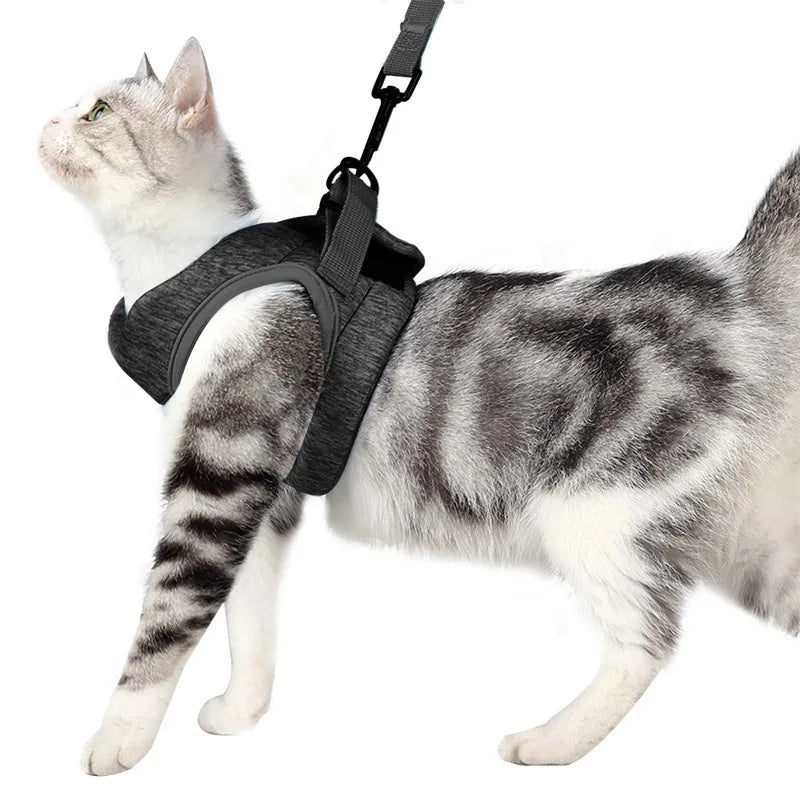 Pretal chaleco para gatos con correa de 1,2 m