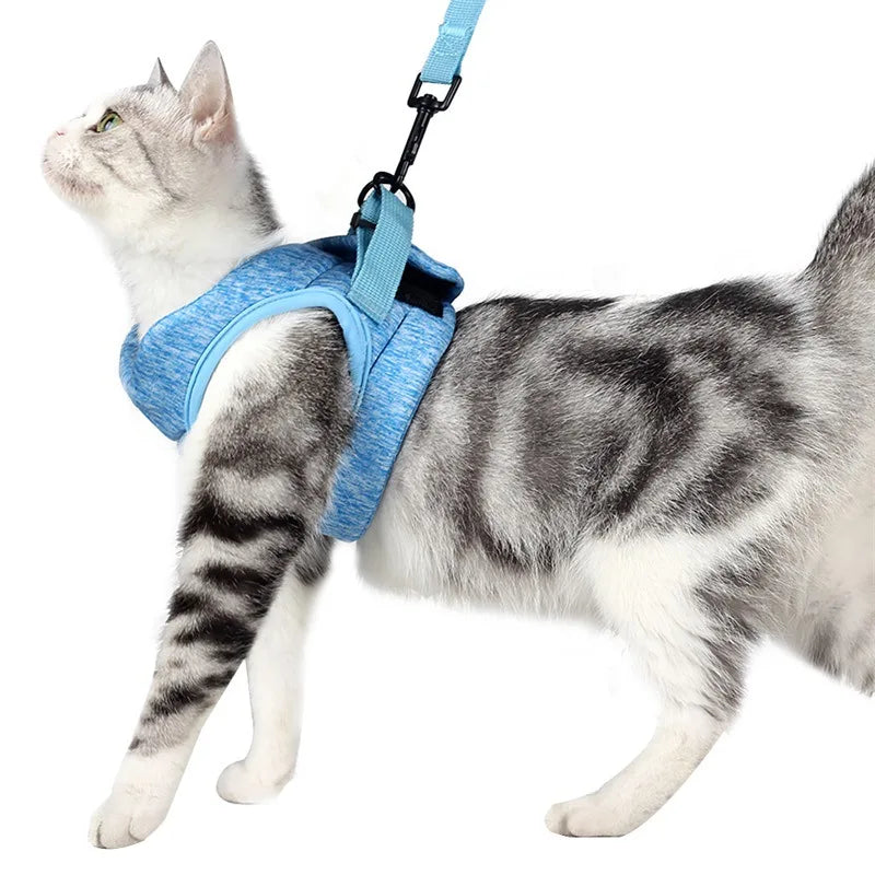 Pretal chaleco para gatos con correa de 1,2 m