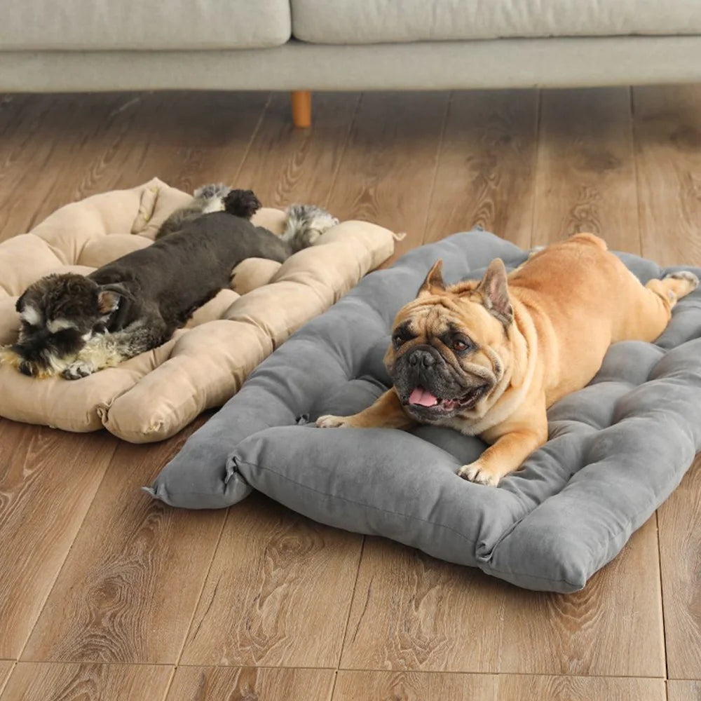 Cama multifunción 3 en 1 para perros y gatos
