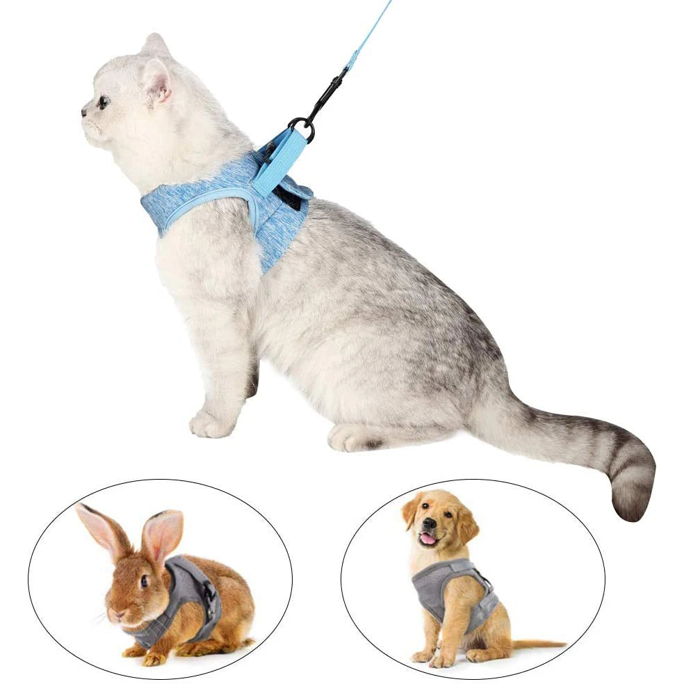 Pretal chaleco para gatos con correa de 1,2 m