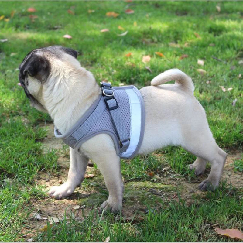 Pretal ajustable de malla para perros con correa de 115 cm