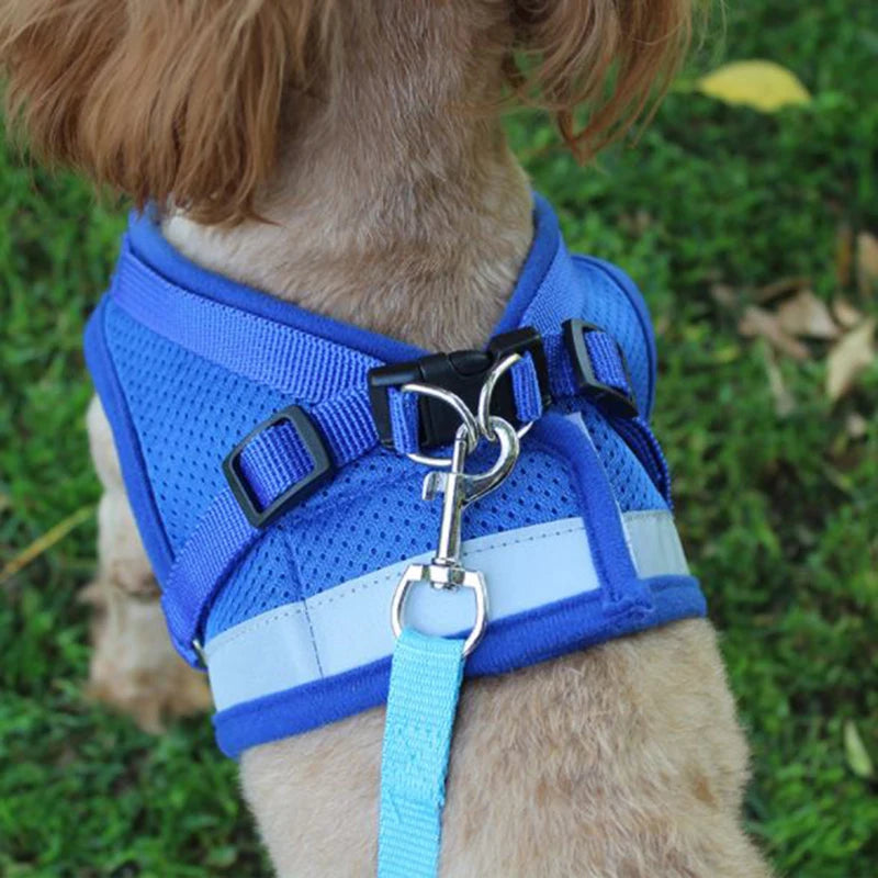 Pretal ajustable de malla para perros con correa de 115 cm