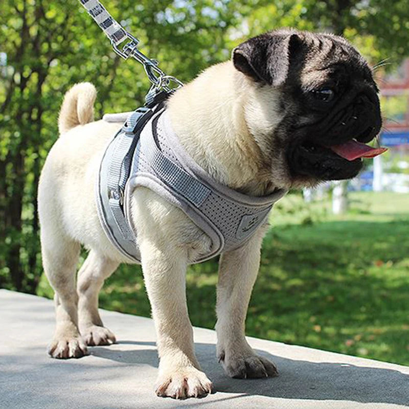 Pretal ajustable de malla para perros con correa de 115 cm