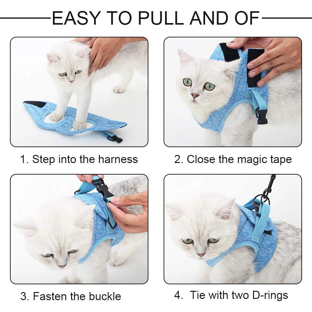 Pretal chaleco para gatos con correa de 1,2 m