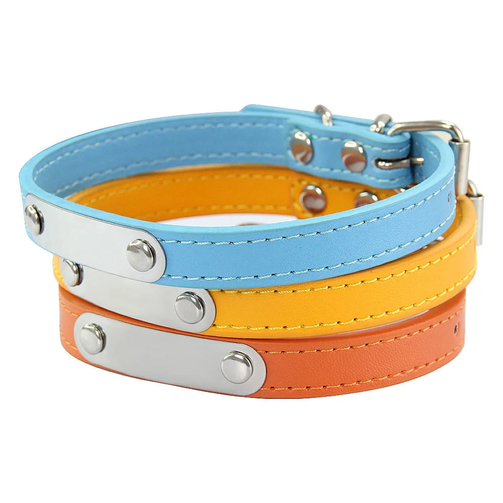 Collar para perros con placa grabable y cinco posiciones