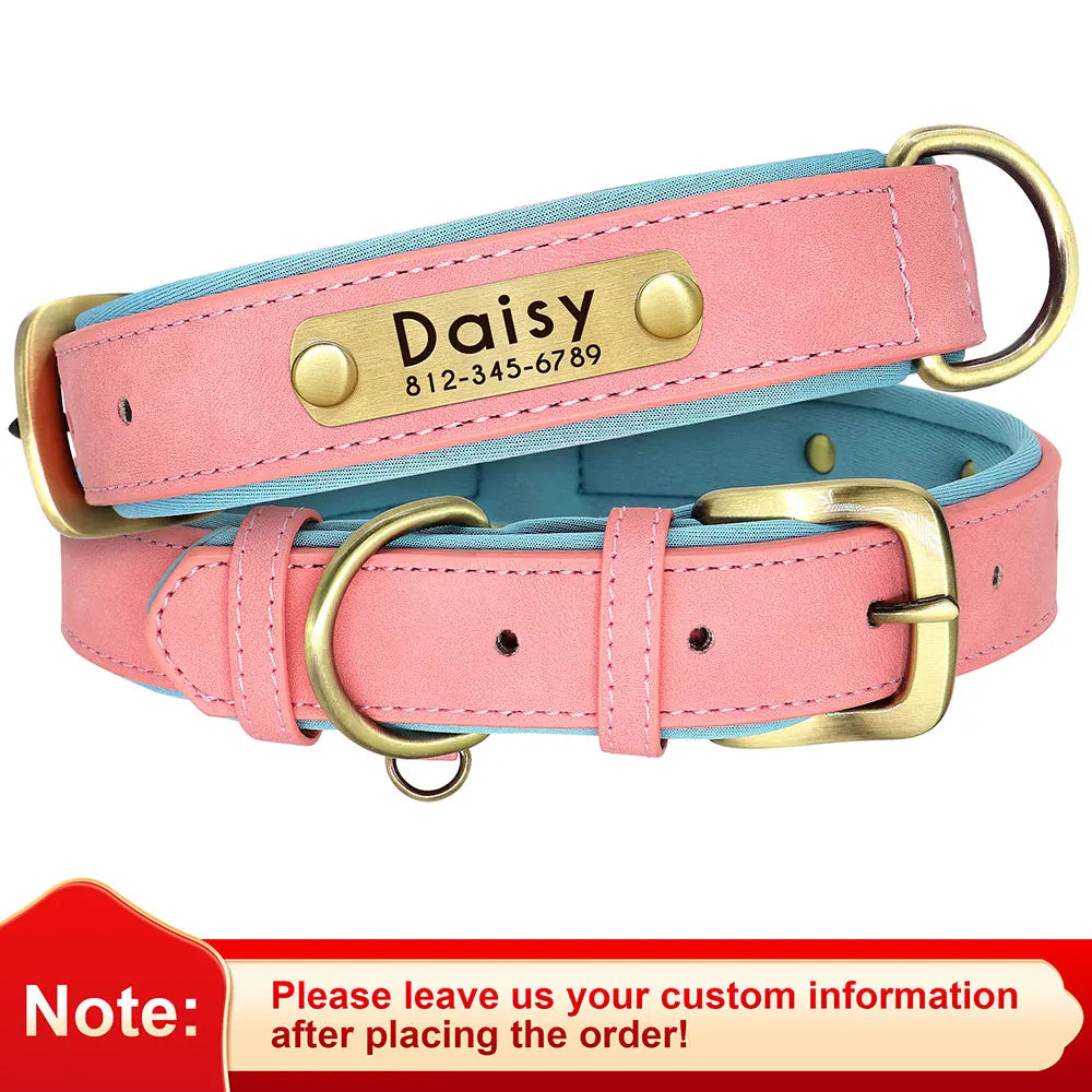 Collar acolchado de PU para perros con placa personalizable