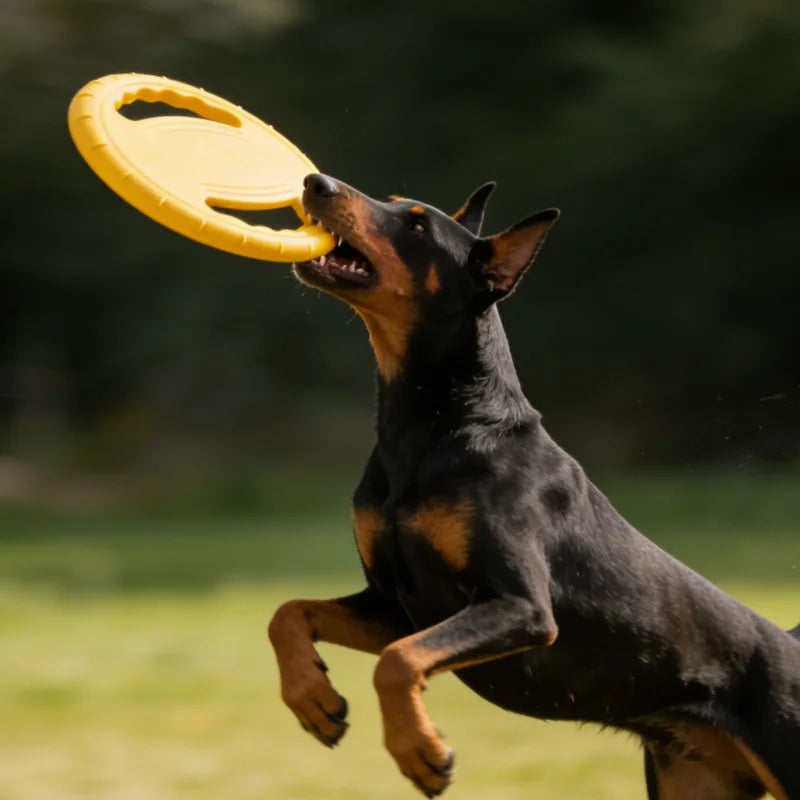 Disco de juego para perros de 20 cm