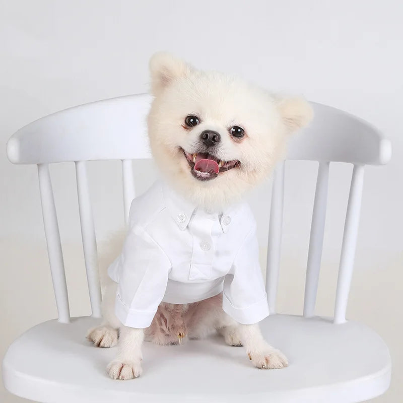 Camisa lisa de poliéster para perros