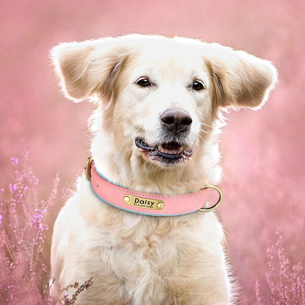 Collar acolchado de PU para perros con placa personalizable
