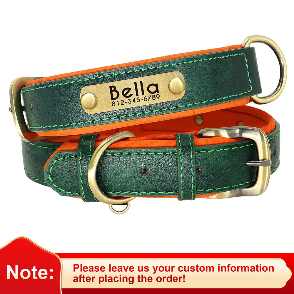 Collar acolchado de PU para perros con placa personalizable