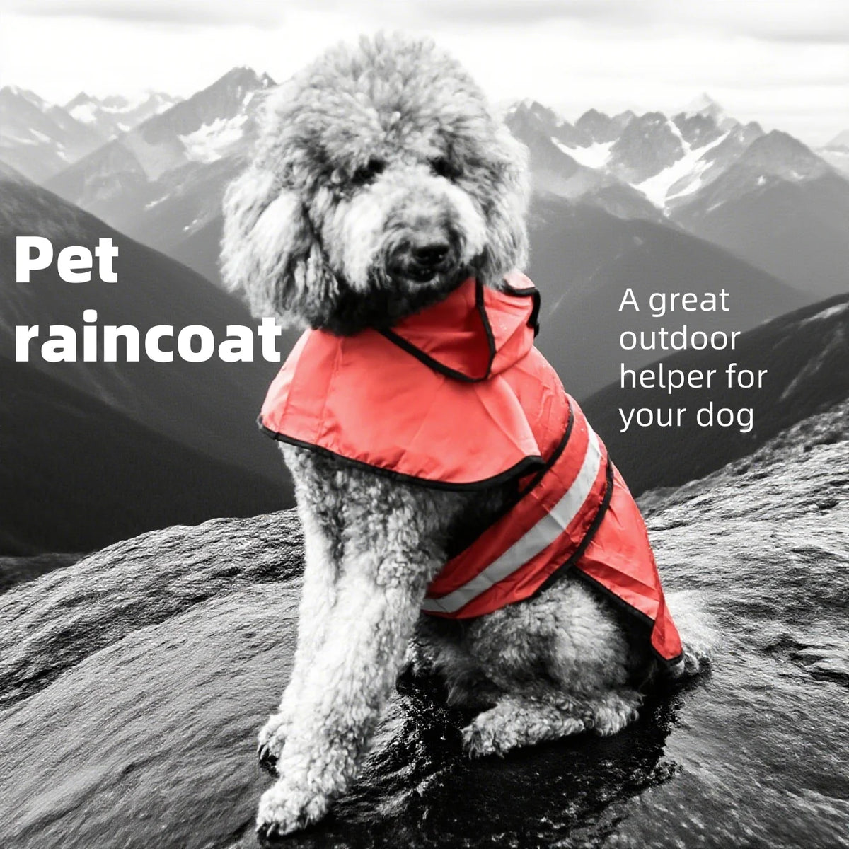 Piloto para perros con capucha y colores lisos