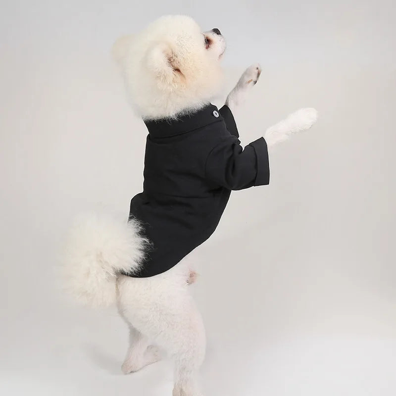 Camisa lisa de poliéster para perros