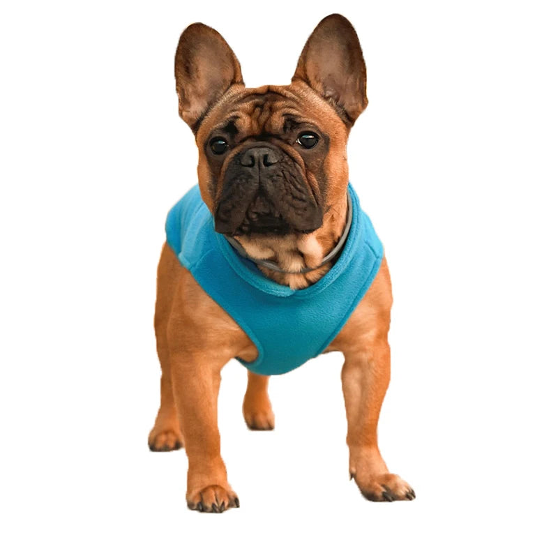 Chaleco de polar con argolla para perros pequeños y gatos