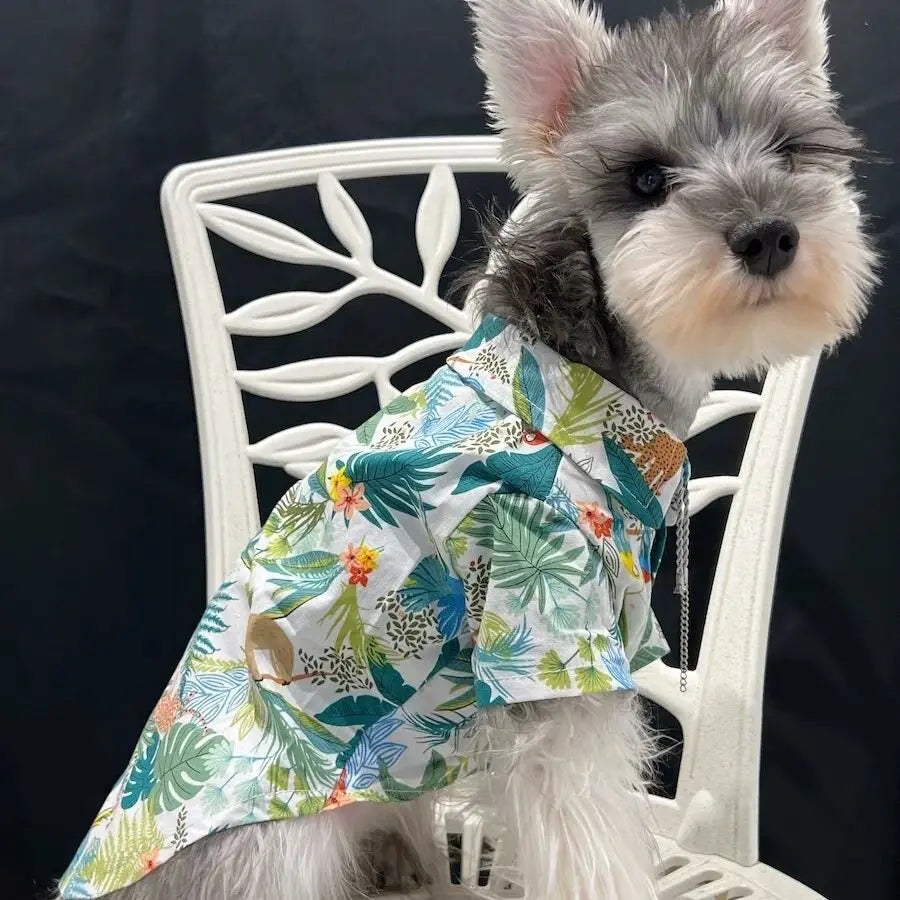 Camisa tropical con botones para perros y gatos