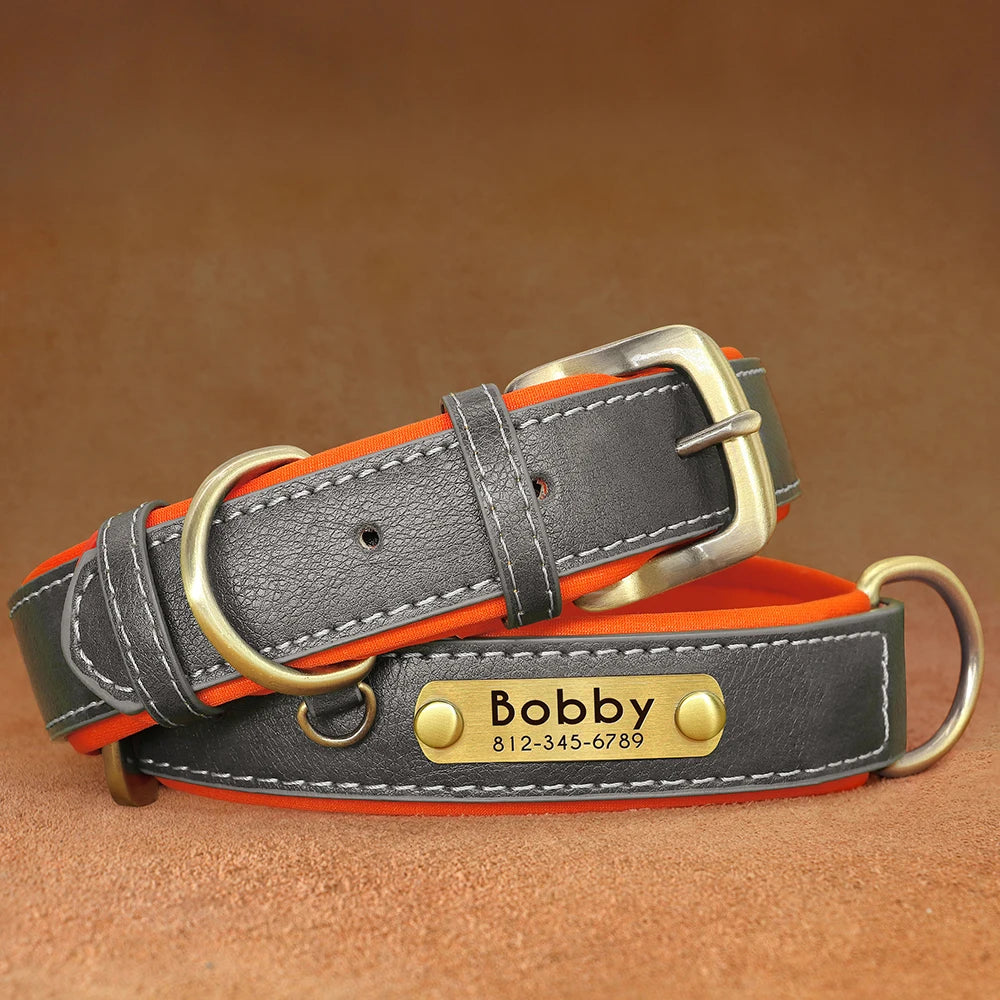 Collar acolchado de PU para perros con placa personalizable