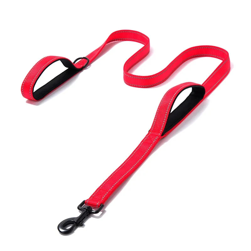 Correa de cinta para perros con doble manija de control