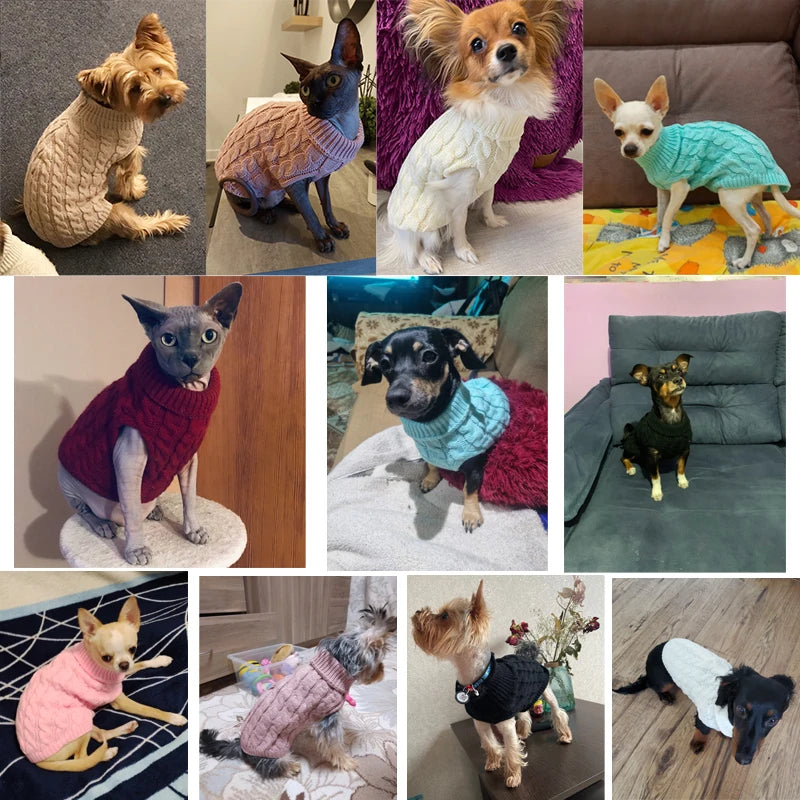 Suéter tejido de cuello alto para perros pequeños y gatos