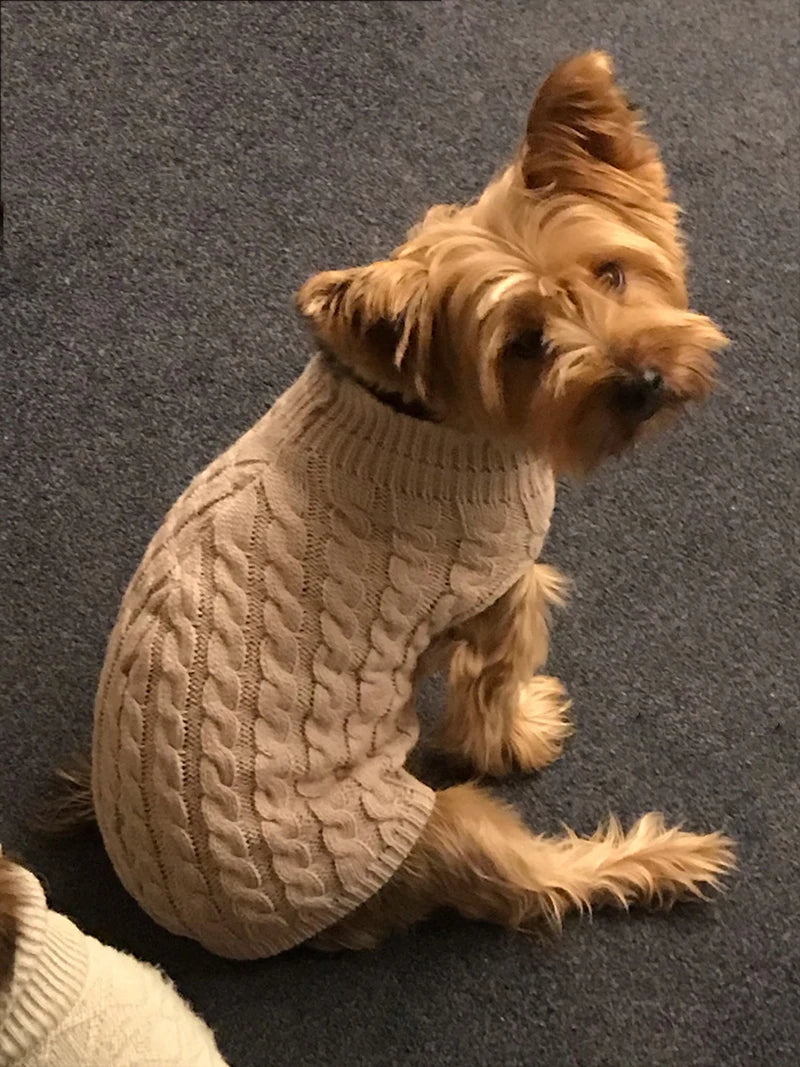 Suéter tejido de cuello alto para perros pequeños y gatos
