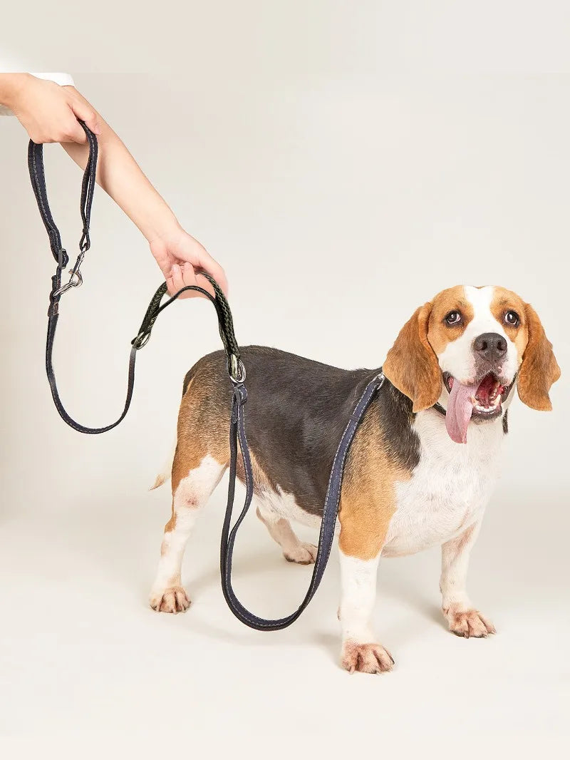 Correa multiposición de jean para perros