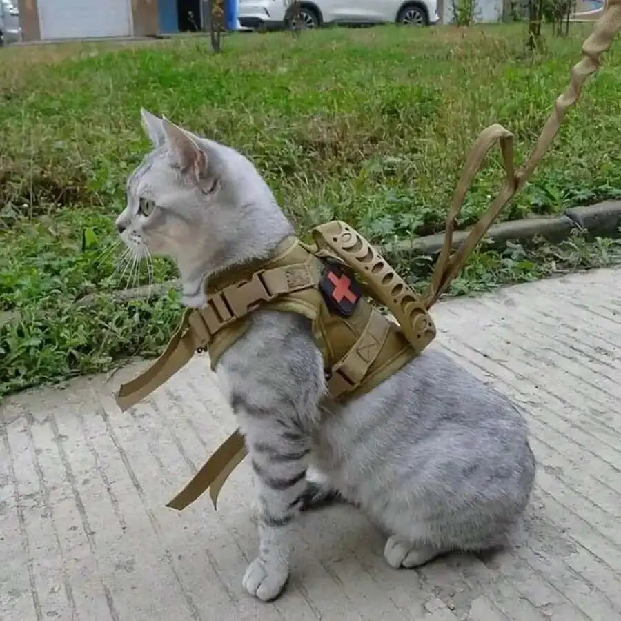 Pretal chaleco ajustable para gatos con malla suave