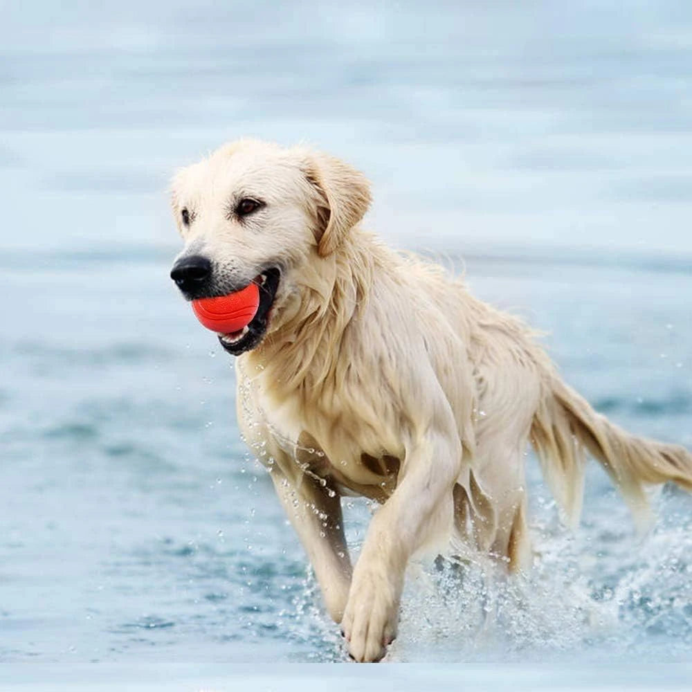 Pelota maciza de goma para juegos con perros