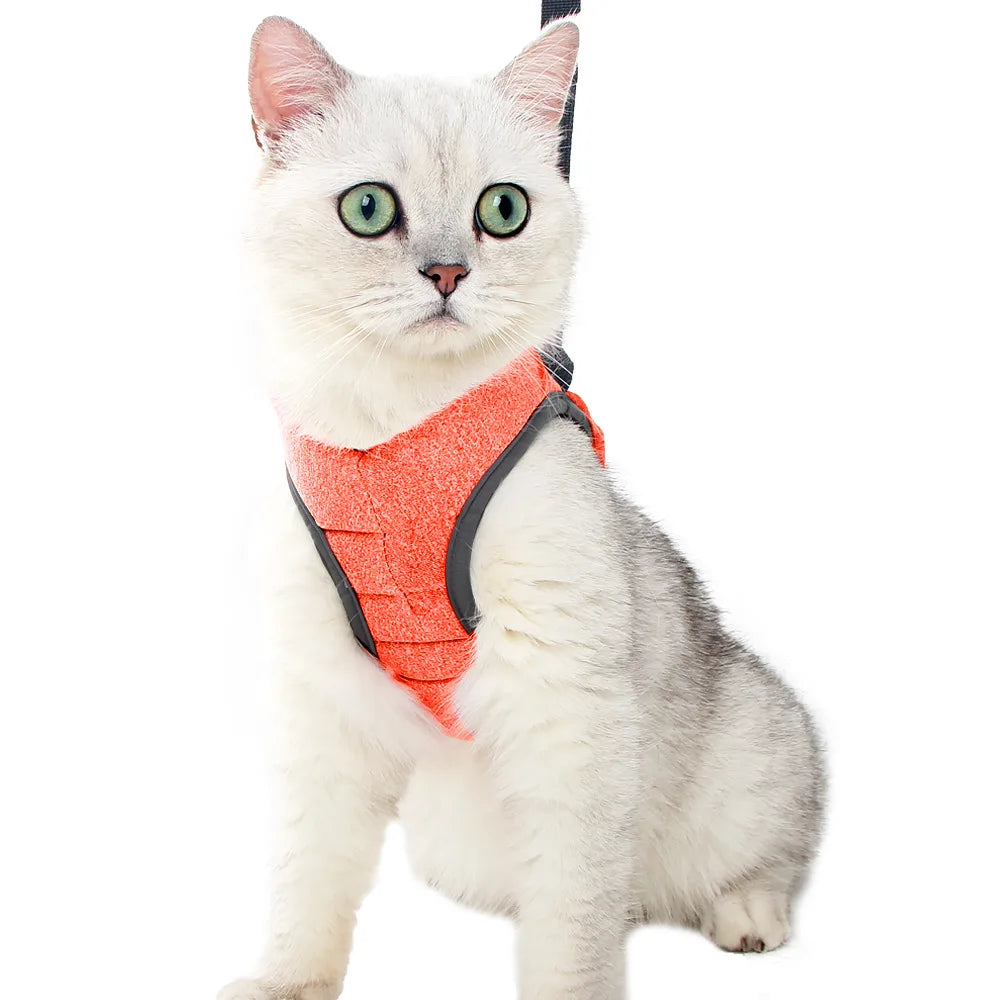 Pretal chaleco para gatos con correa de 1,2 m