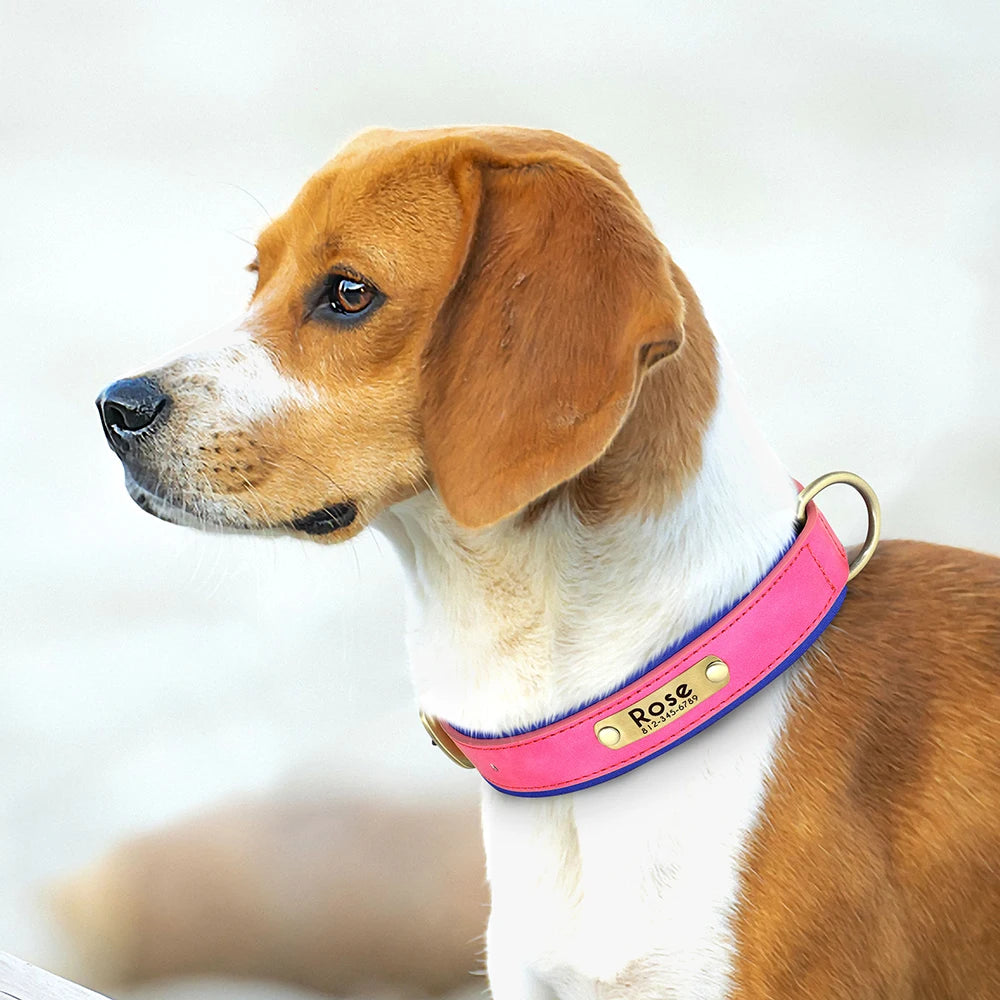 Collar acolchado de PU para perros con placa personalizable