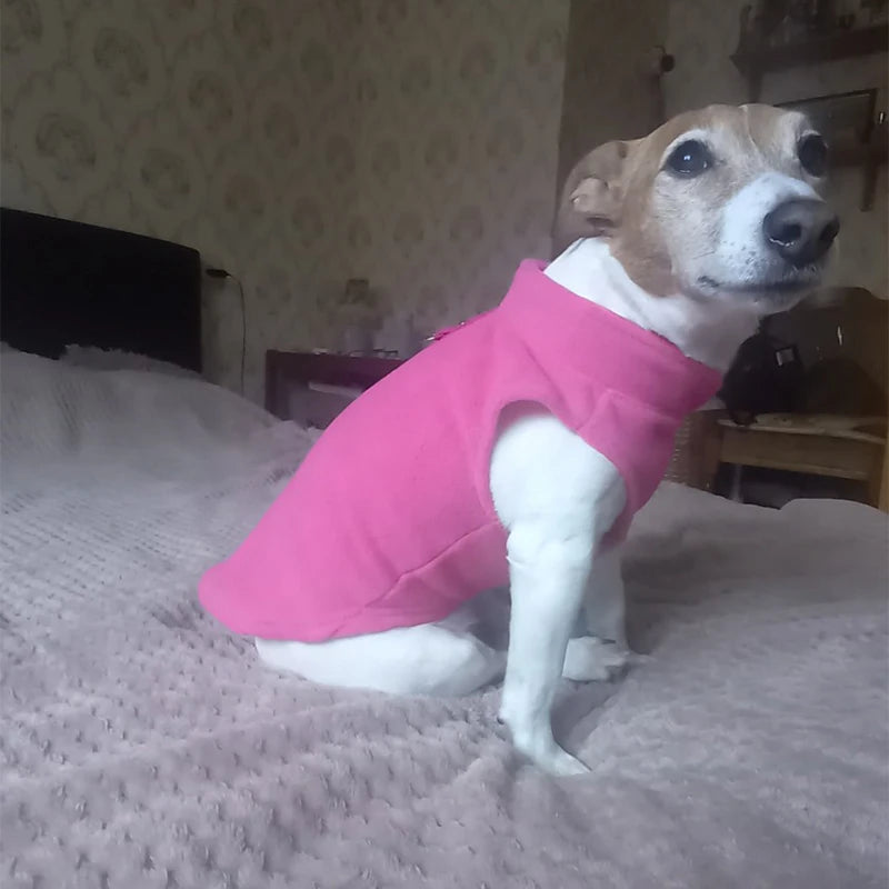 Chaleco de polar con argolla para perros pequeños y gatos