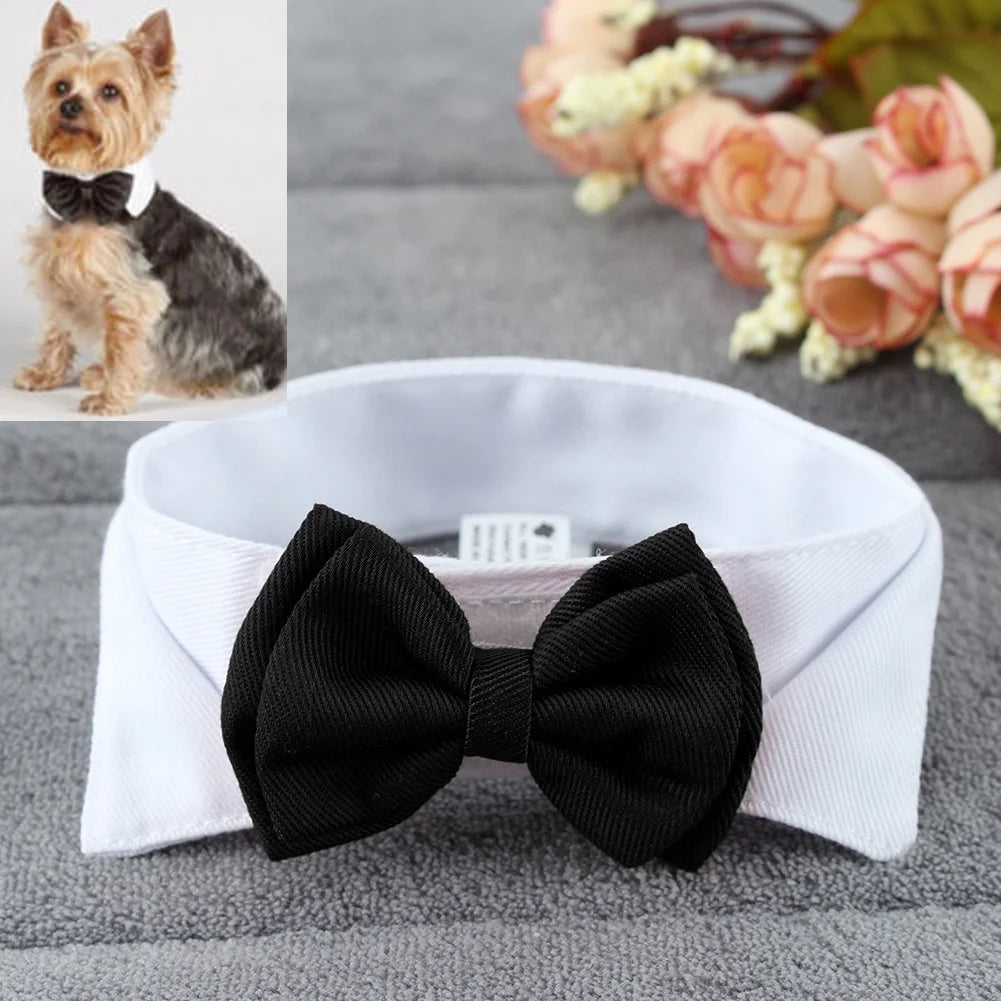 Moño de fiesta ajustable para perros y gatos