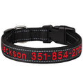 Collar reflectivo de nylon para perros con nombre bordado