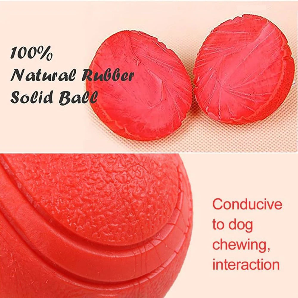 Pelota maciza de goma para juegos con perros