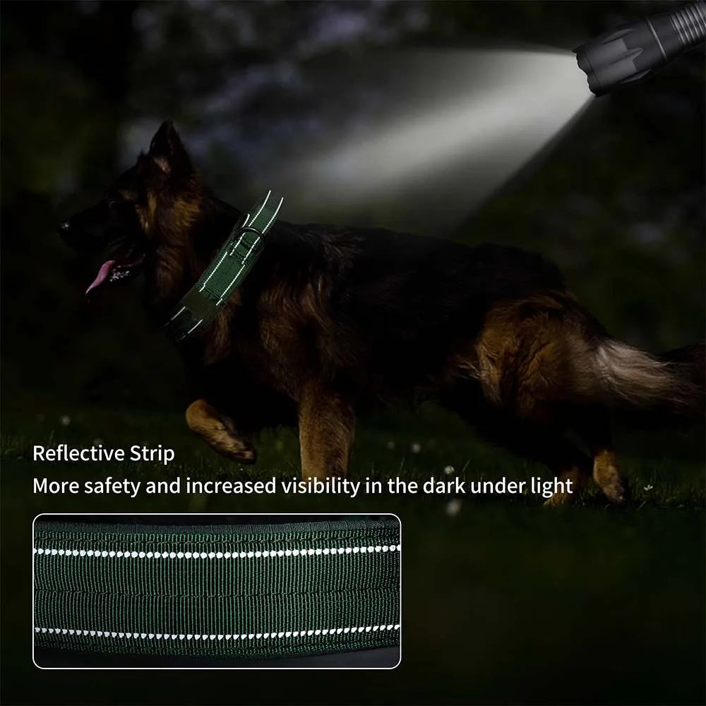 Collar táctico para perros con doble hebilla y asa acolchada