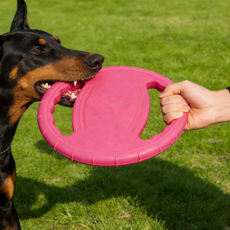 Disco de juego para perros de 20 cm