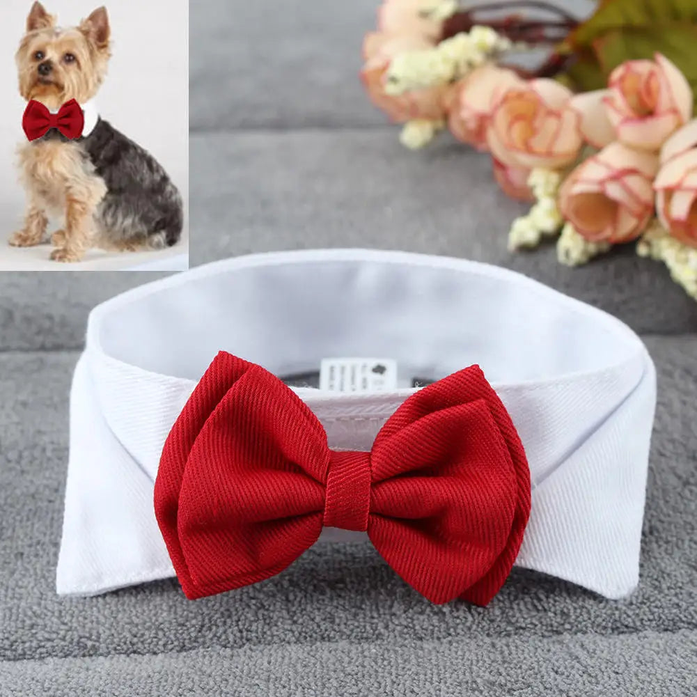 Moño de fiesta ajustable para perros y gatos