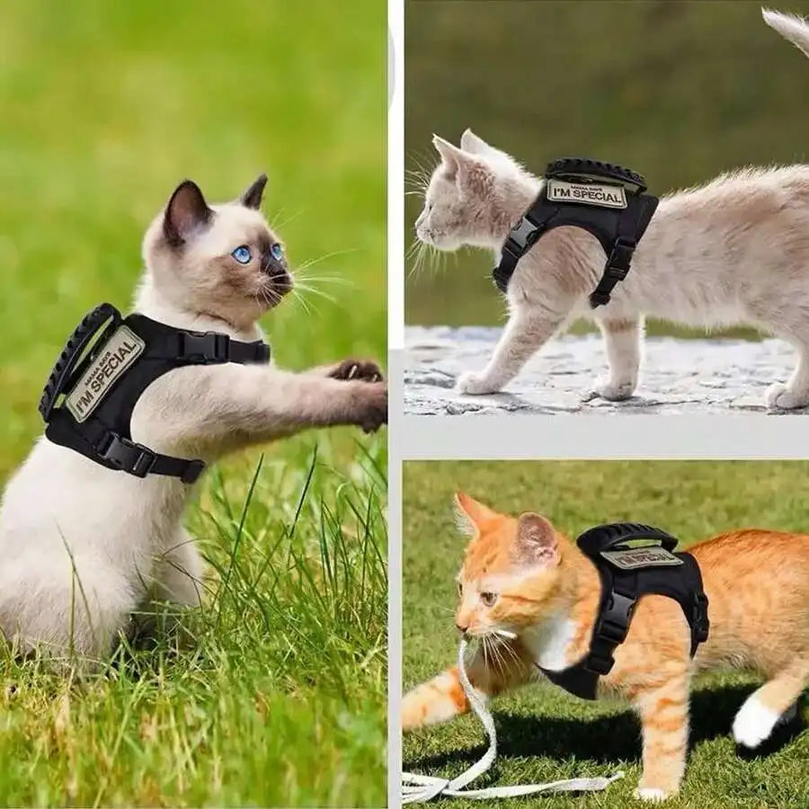 Pretal chaleco ajustable para gatos con malla suave