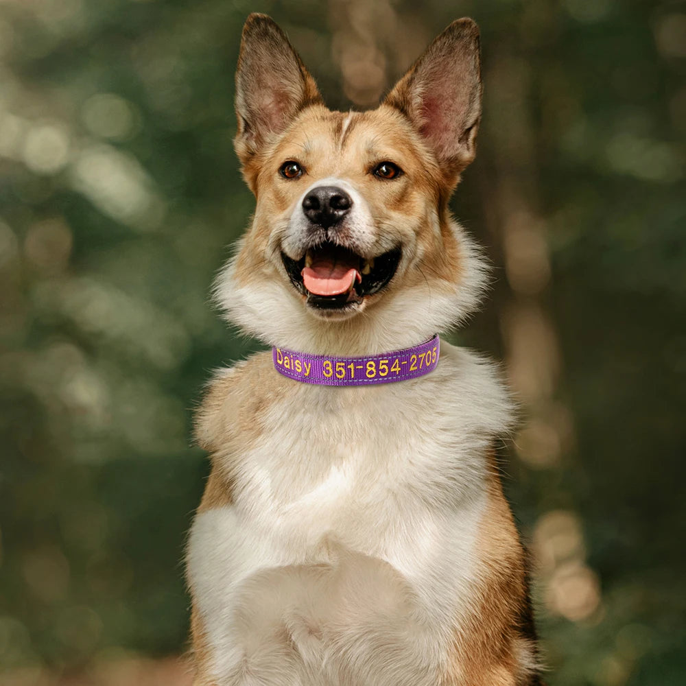 Collar reflectivo de nylon para perros con nombre bordado