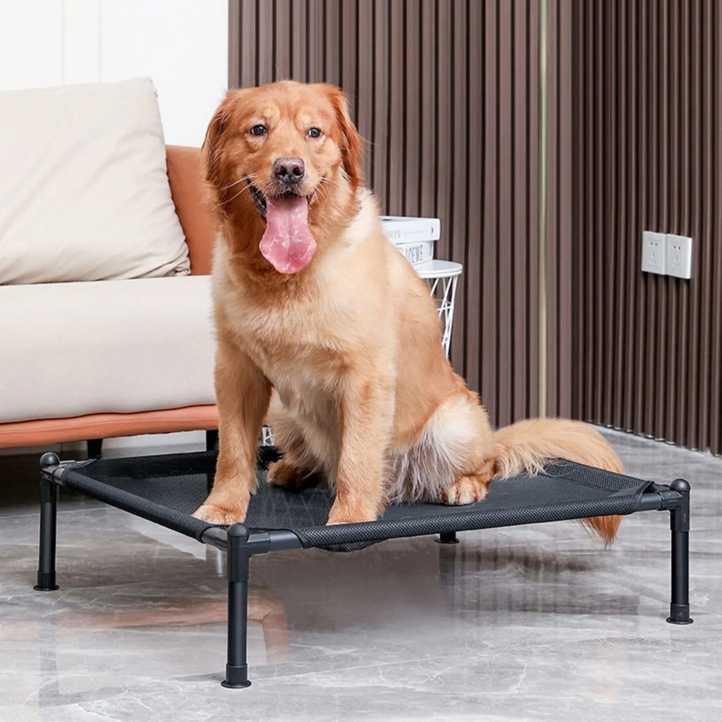 Catre elevado plegable para perros y gatos