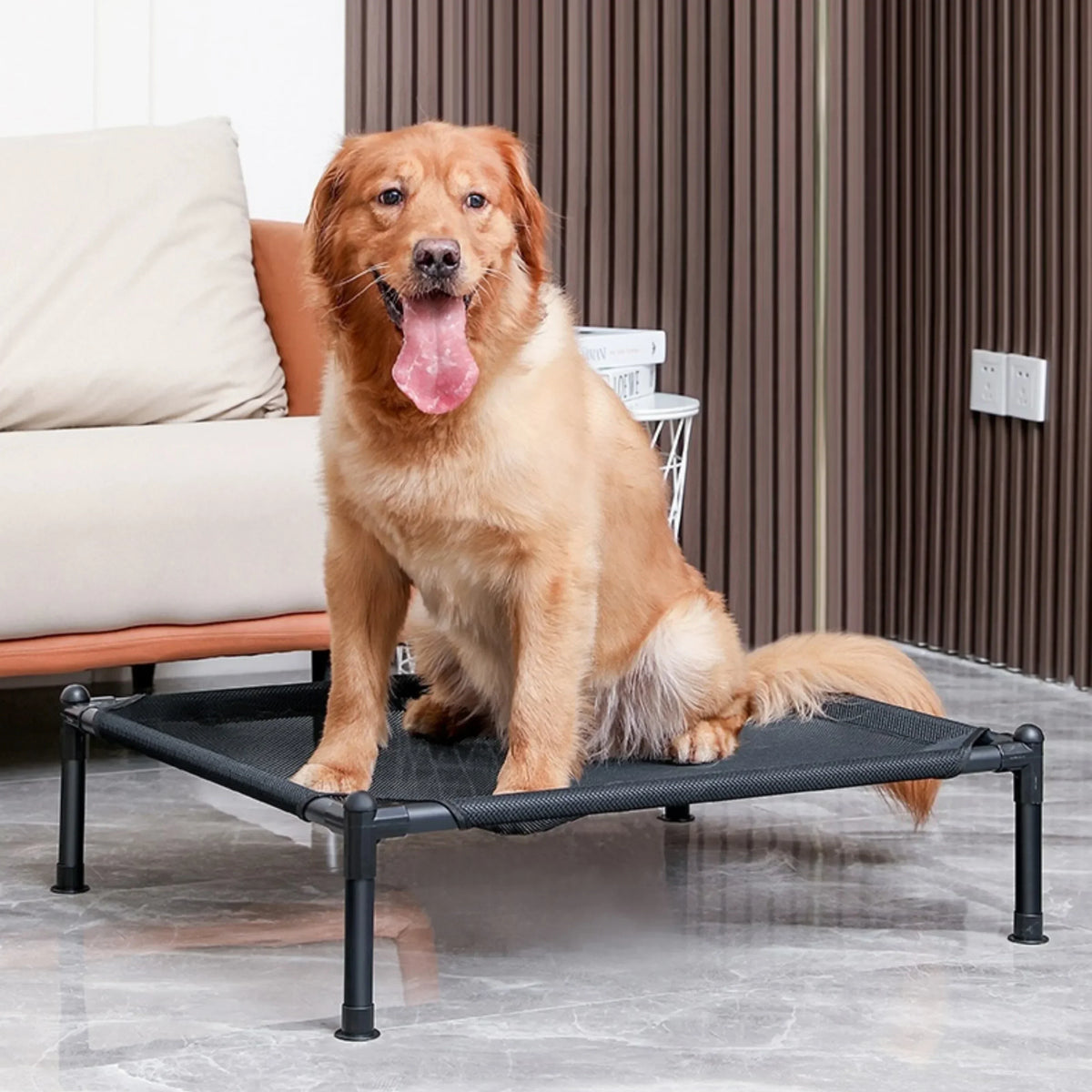 Catre elevado plegable para perros y gatos