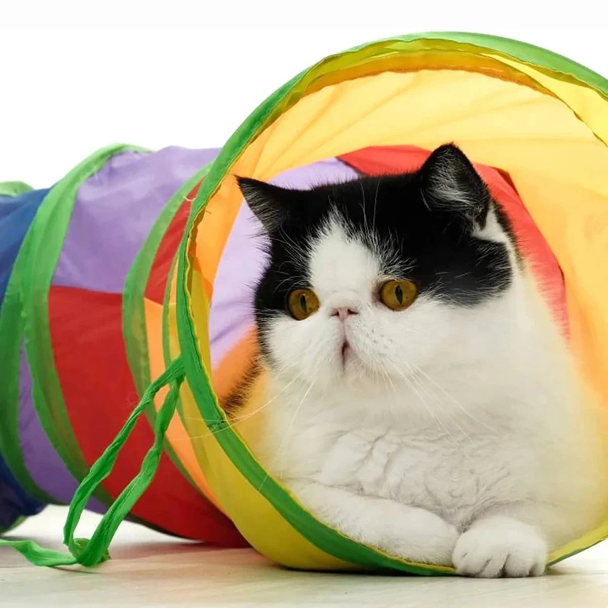 Túnel plegable de tela para juego y escondite de gatos