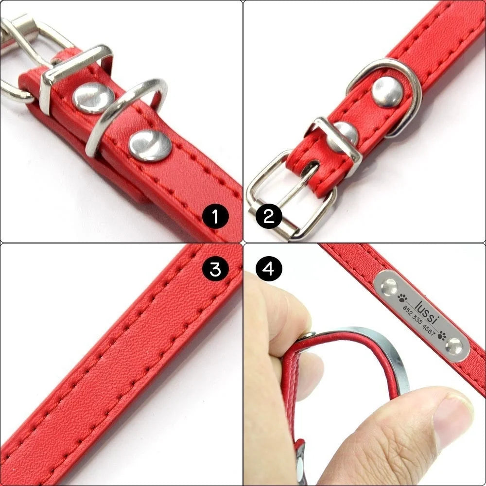 Collar para perros con placa grabable y cinco posiciones
