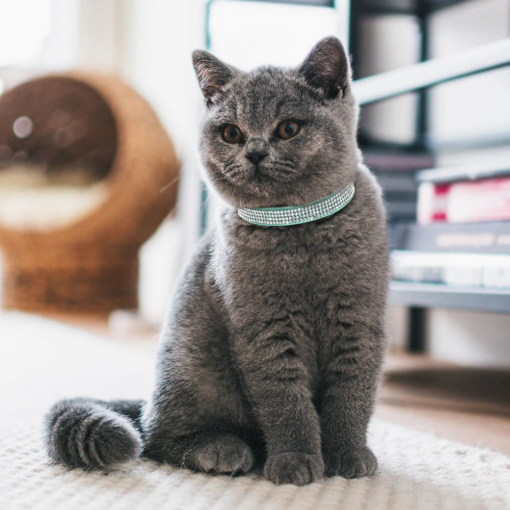 Collar para gatos con strass, cascabel y cierre de seguridad