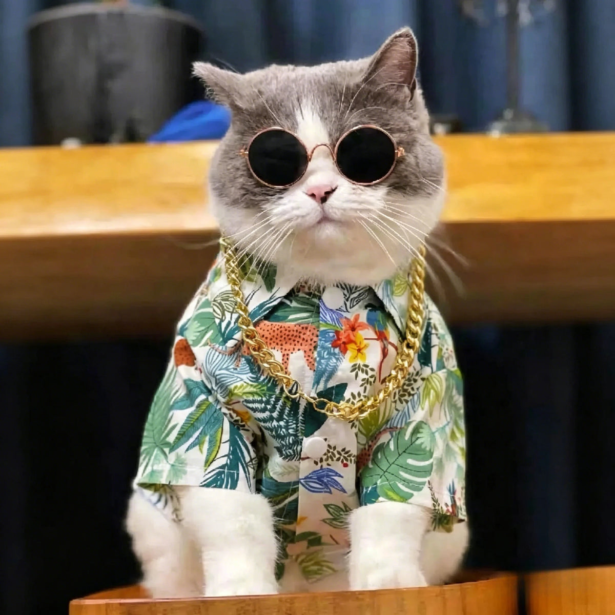Camisa tropical con botones para perros y gatos