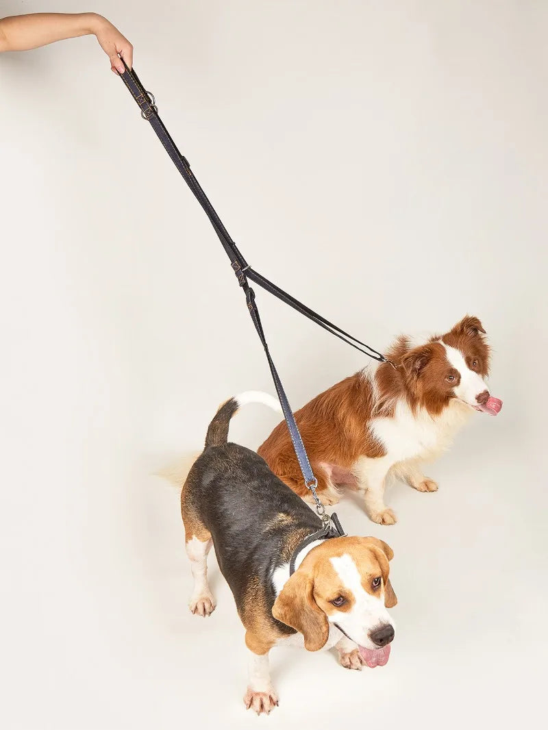 Correa multiposición de jean para perros