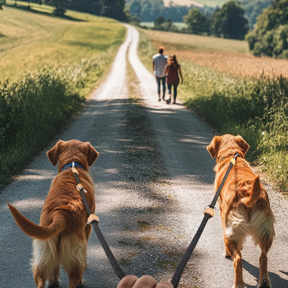 Correa multiposición ajustable de 2,1 m para dos perros