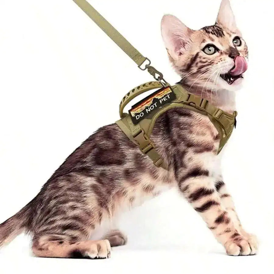 Pretal chaleco ajustable para gatos con malla suave