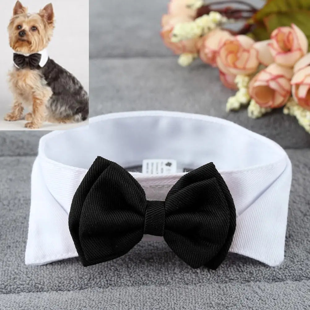 Moño de fiesta ajustable para perros y gatos