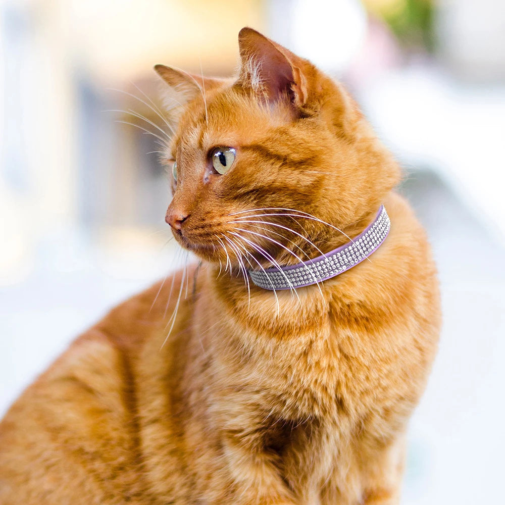 Collar para gatos con strass, cascabel y cierre de seguridad