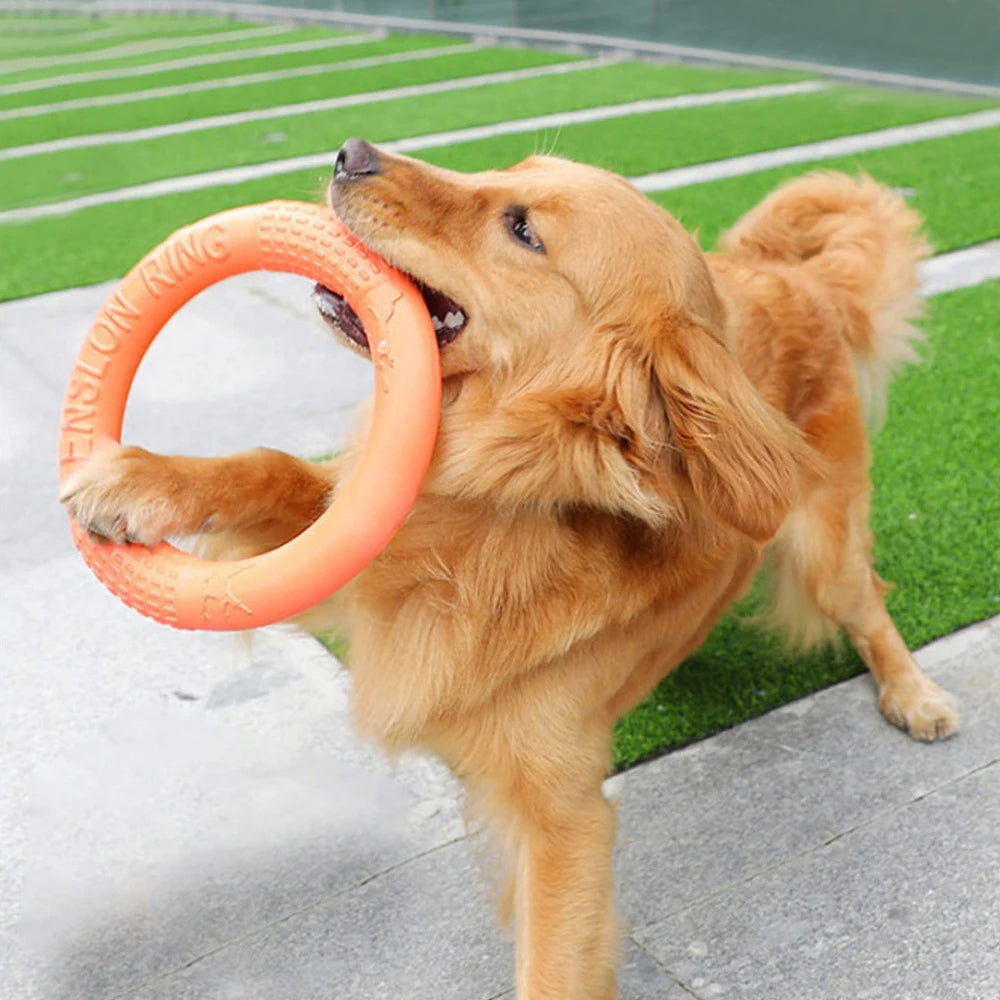 Aro de juego para perros para lanzar y buscar
